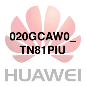 020GCAW0_TN81PIU