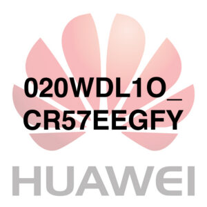 020WDL1O_CR57EEGFY