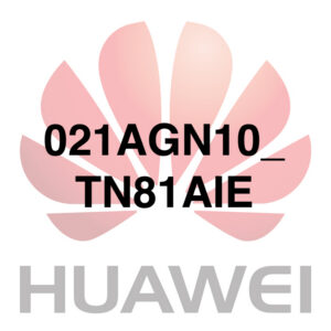 021AGN10_TN81AIE