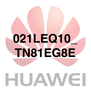 021LEQ10_TN81EG8E
