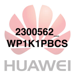 2300562_WP1K1PBCS