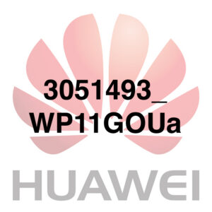 3051493_WP11GOUa