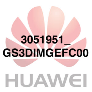 3051951_GS3DIMGEFC00