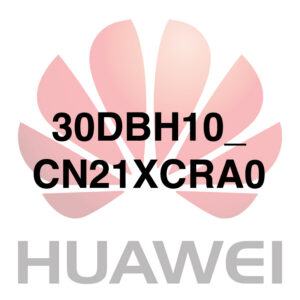 30DBH10_CN21XCRA0
