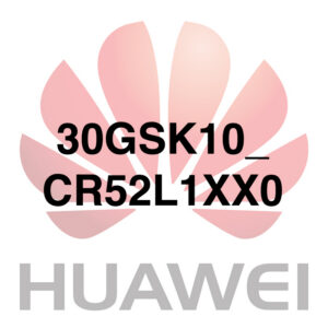 30GSK10_CR52L1XX0
