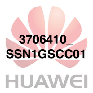 3706410_SSN1GSCC01