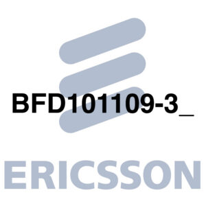 BFD101109-3_