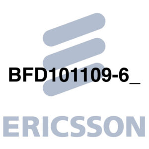 BFD101109-6_