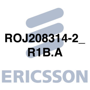ROJ208314-2_R1B.A