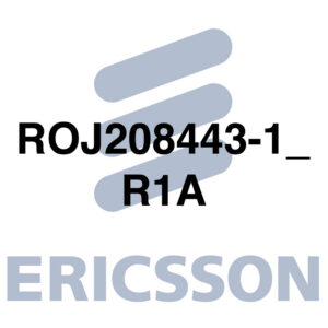 ROJ208443-1_R1A